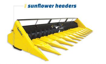 CroppedImage350210-Fantini-SunflowerHeaders-2022.jpg